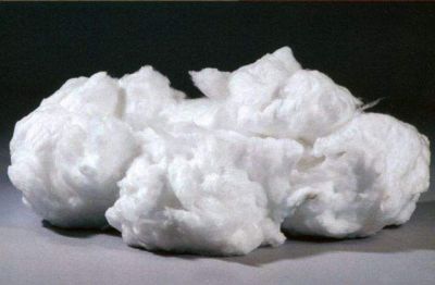 Anti-microbial polyester staple fiber
