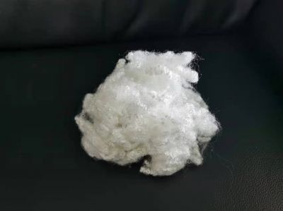 Anti-microbial polyester hollow staple fiber